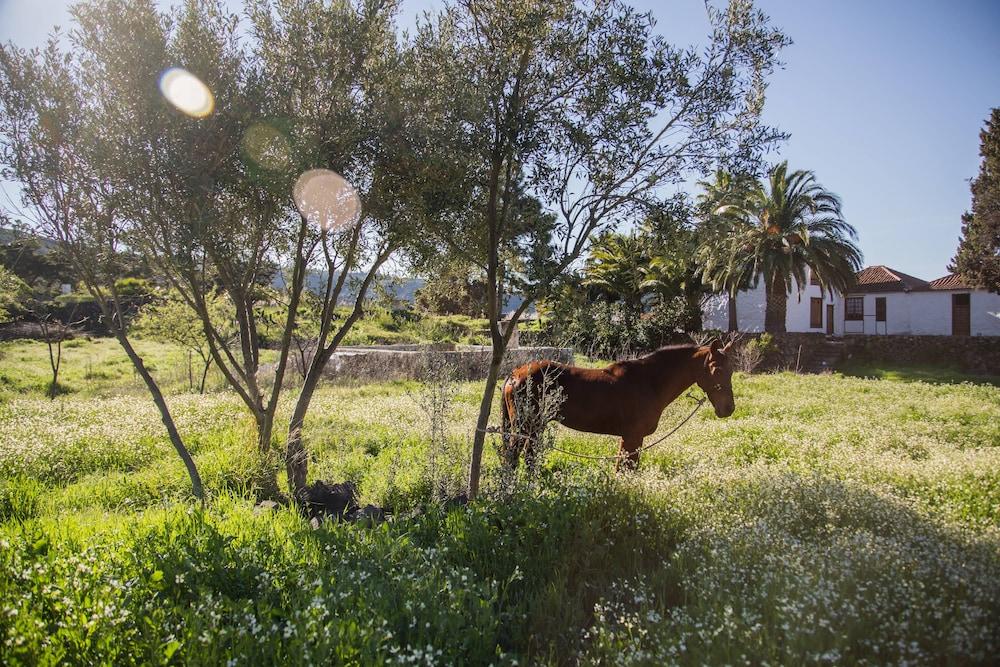 ホテル La Casona Del Patio サンティアゴ・デル・テイデ エクステリア 写真